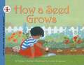 How a Seed Grows