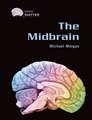 The Midbrain