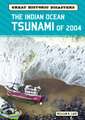 The Indian Ocean Tsunami of 2004