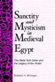 Sanctity and Mysticism in Medieval Egypt