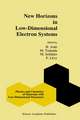 New Horizons in Low-Dimensional Electron Systems: A Festschrift in Honour of Professor H. Kamimura