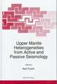 Upper Mantle Heterogeneities from Active and Passive Seismology