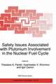 Safety Issues Associated with Plutonium Involvement in the Nuclear Fuel Cycle