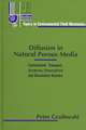 Diffusion in Natural Porous Media: Contaminant Transport, Sorption/Desorption and Dissolution Kinetics