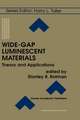 Wide-Gap Luminescent Materials: Theory and Applications