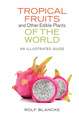 Tropical Fruits and Other Edible Plants of the W – An Illustrated Guide