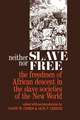 Neither Slave nor Free – The Freedman of African Descent in the Slave Societies of the New World