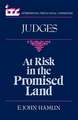 At Risk in the Promised Land: A Commentary on the Book of Judges