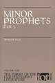 Minor Prophets: Part 2