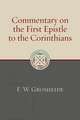 Commentary on the First Epistle to the Corinthians