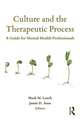 Culture and the Therapeutic Process: A Guide for Mental Health Professionals