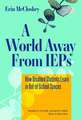 A World Away from IEPs