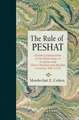 The Rule of Peshat – Jewish Constructions of the Plain Sense of Scripture and Their Christian and Muslim Contexts, 900–1270