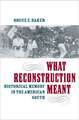 What Reconstruction Meant: Historical Memory in the American South