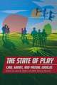 The State of Play – Law, Games, and Virtual Worlds