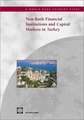 Non-Bank Financial Institutions and Capital Markets in Turkey