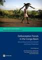 Deforestation Trends in the Congo Basin: Reconciling Economic Growth and Forest Protection