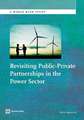 Revisiting Public-Private Partnerships in the Power Sector