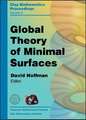 Global Theory of Minimal Surfaces