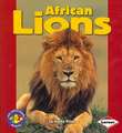 African Lions