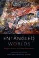 Entangled Worlds – Religion, Science, and New Materialisms