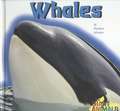 Whales