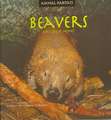 Beavers and Their Homes