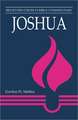 Joshua (Believers Church Bible Commentary)