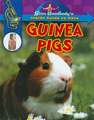 Guinea Pigs