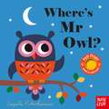 Where's Mr Owl?