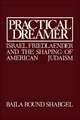 Practical Dreamer