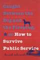 Caught Between the Dog and the Fireplug, or How to Survive Public Service