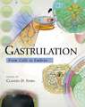 Gastrulation