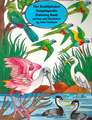 The Birdalphabet Encyclopedia Coloring Book