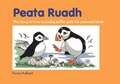 Peata Ruadh: The story of how a young puffin gets his coloured beak