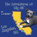 The Adventures of Big Sil Los Angeles, CA