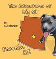 The Adventures of Big Sil Phoenix