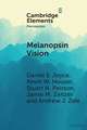 Melanopsin Vision: Sensation and Perception Through Intrinsically Photosensitive Retinal Ganglion Cells