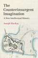 The Counterinsurgent Imagination: A New Intellectual History