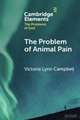 The Problem of Animal Pain