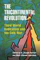 The Tricontinental Revolution: Third World Radicalism and the Cold War