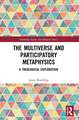 The Multiverse and Participatory Metaphysics: A Theological Exploration