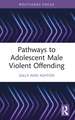 Pathways to Adolescent Male Violent Offending