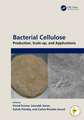 Bacterial Cellulose: Production, Scale-up, and Applications