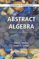 Abstract Algebra: A Gentle Introduction