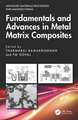 Fundamentals and Advances in Metal Matrix Composites