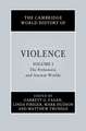 The Cambridge World History of Violence