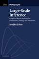 Large-Scale Inference: Empirical Bayes Methods for Estimation, Testing, and Prediction