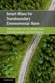 Smart Mixes for Transboundary Environmental Harm