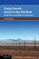 Energy Security along the New Silk Road: Energy Law and Geopolitics in Central Asia